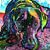 Amy Kurrle's profile image