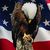 Steve Jankowski's profile image