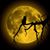 Karin de Groote's profile image