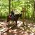 Donna Shreffler Wolke's profile image