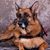 Kathleen M. Haley's profile image