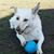 Gwendolyn L Gibson's profile image