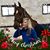 Karen Johnson Hoyle's profile image