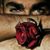 Dany Smith's profile image