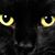 Linda Tureau's profile image