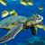 Rita Veltrup's profile image