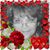 Lisa Beebe's profile image