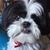 Dionne Murray Fodness's profile image