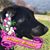 Janet Donati Leon's profile image