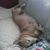Richard Tieman's profile image
