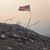 Avi Cohen's profile image