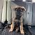 Sue Sylvia's profile image