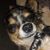 Cayla MenDoza's profile image