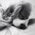 Jackie Turpin's profile image