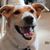 Nancy Rodgers Ward's profile image