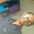 Putra X Panser's profile image
