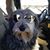 Kathy Ward's profile image
