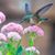 Becky Williams Lathrop's profile image