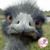 Mike Moore's profile image