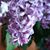 Ruthann Hendrickson's profile image