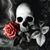 Victor Finger's profile image