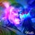 Jorge Antonio Trevino's profile image