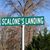 Joe Scalone's profile image