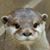 Nun Ya's profile image