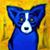 Dave Davenport's profile image