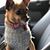 Dawn Corey's profile image