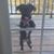 Teresa Shelton's profile image