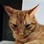 Ann Willett's profile image