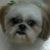 Cassie Bush Hodge's profile image