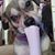 Susie Stricklin's profile image