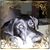 Margaret Leedom's profile image