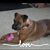 Sheri Mitchell Simpson's profile image