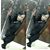 Karmetria Welcome's profile image