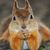 Margaret Stark Thom's profile image