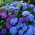 Kristie Holtan's profile image