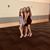 Kinzie Culbertson's profile image