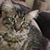 Michelle Copeland Partida's profile image
