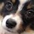 Heather DeWolfe Stroup's profile image