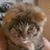 BelenMejia DeFernandez's profile image
