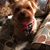 Peggy Elkins's profile image