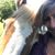 Nancy Pirtle's profile image