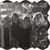 Mary Alice Cook's profile image