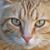 Elsa Bartalucci's profile image