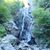 Judith Dunn Thibodeau's profile image
