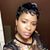 Pamela Stevens Drake's profile image