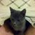Scott Koepp's profile image